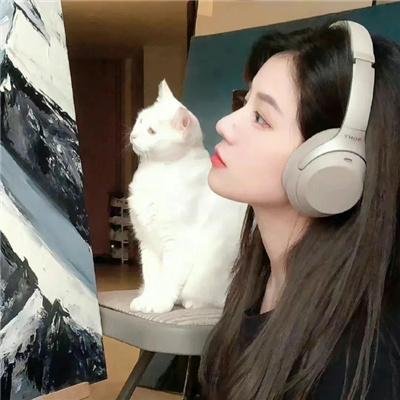 直线篡位